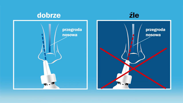 Instrukcja stosowania Aleric spray do nosa, aerozol na alergię